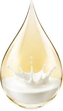 Silicone Emulsions icon