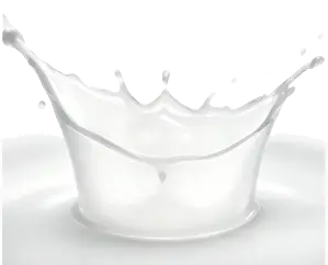 Silicone Emulsions